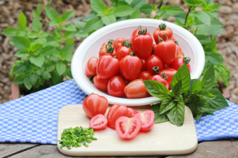 Tomate ‘Gardenberry’
