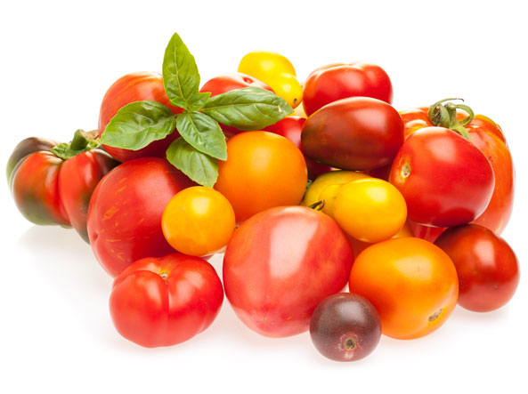 Kulturgeschichte der Tomate