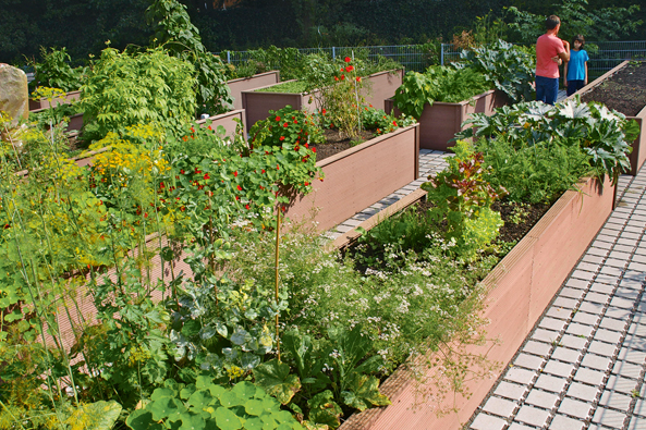 Hochbeet-Garten des KGV Döhrnkamp