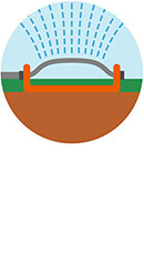 Regelmäßig bewassern
