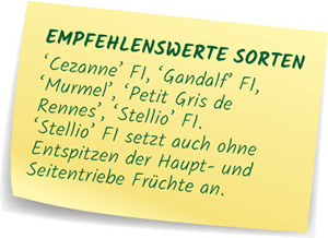 Empfehlenswerte Zuckermolnen Sorten