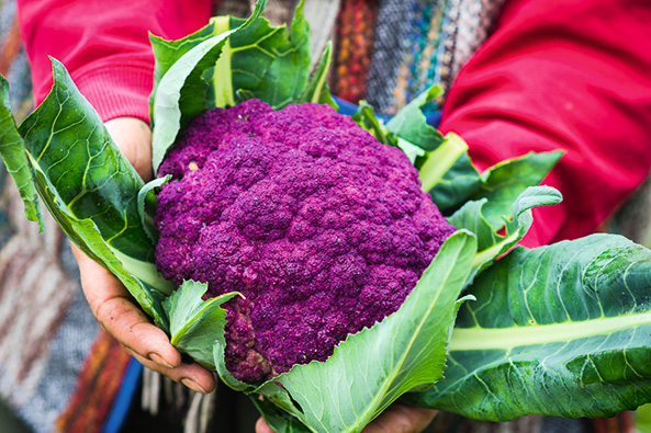 Farbiger Blumenkohl