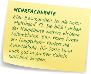 Mehrfachernte