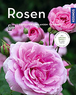 Rosen – Gestalten – Pflanzen – Pflegen