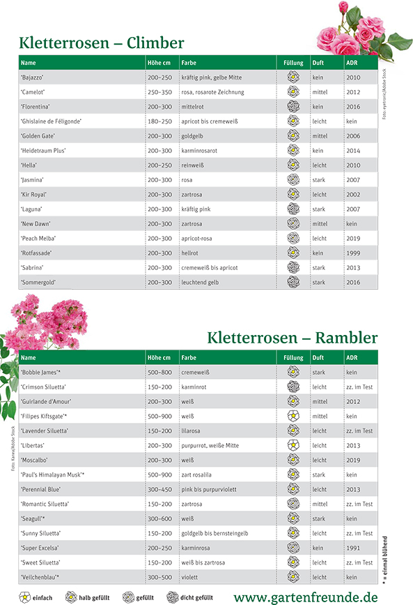 Tabelle Kletterrosen: Climber und Rambler