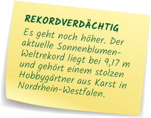 Sonnenblumen-Weltrekord Postit