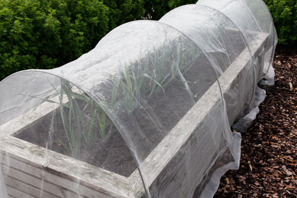 Konstruktion für Insektenschutznetz
