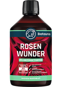 Rosenwunder