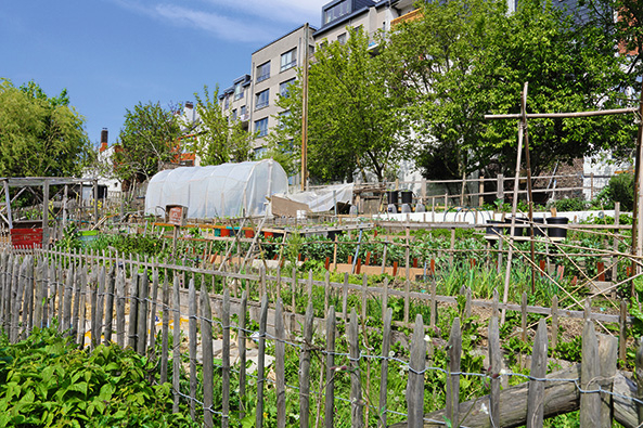Obst und Gemüse aus der Stadt