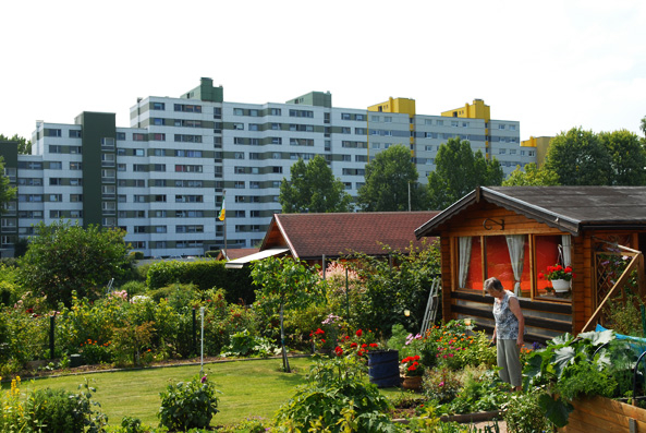 Kleingärten in der Stadt