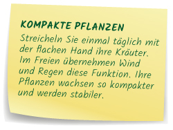 Kompakte Pflanzen
