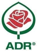 ADR-Rosen