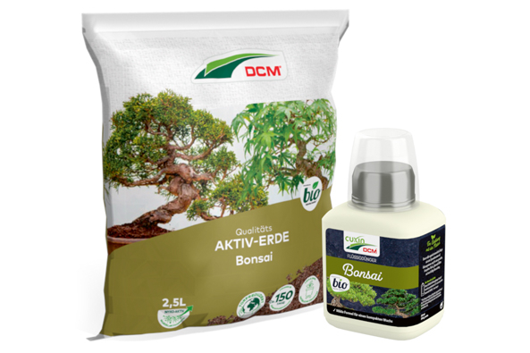 DCM Aktiv-Erde Bonsai