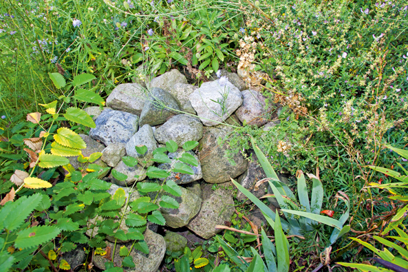 Lebensraum Steinhaufen