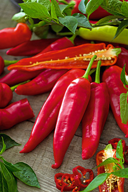 Bullhorn-Paprika ‘Corno di toro rosso’