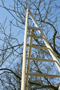 Holzsprossen-Leitern