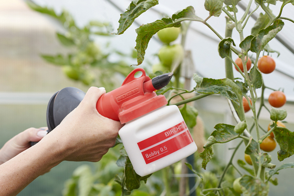 Steinmehl sorgt für aromatischen Tomatengeschmack