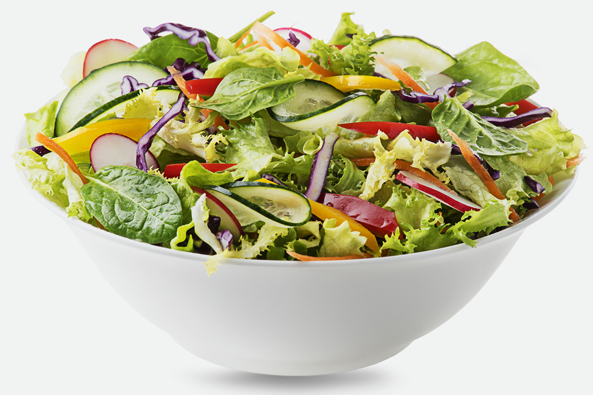Salat Gärtnerart-Beet
