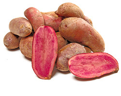 'Rote Emmalie'
