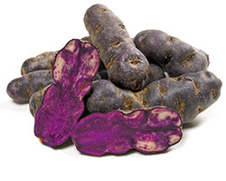 'Vitelotte'