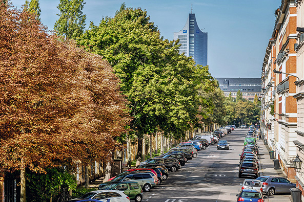 Straßenbäume gegen Depressionen