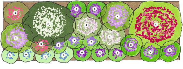 Staudenbeet Plan