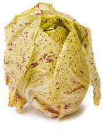 Radicchio ‘Variegata di Castelfranco’