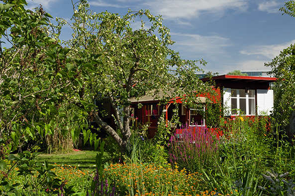 Kleingarten