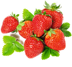 Erdbeeren im Frühling pflanzen