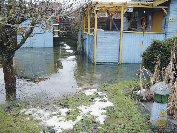 Tief liegende Gärten mit einem hohen Grundwasserstand