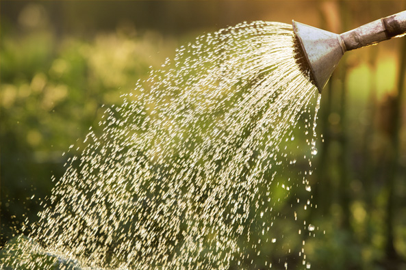 Nationale Wasserstrategie
