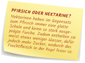 Unterschied Pfirsich und Nektarine