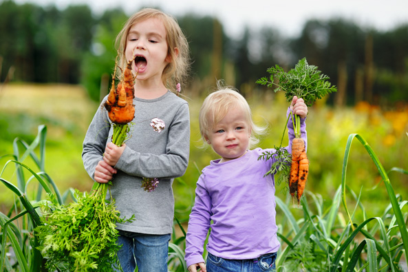 Pflanzen für Kinder
