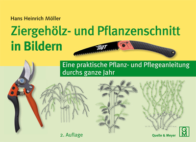Eine praktische Pflanz- und Pflegeanleitung durchs ganze Jahr