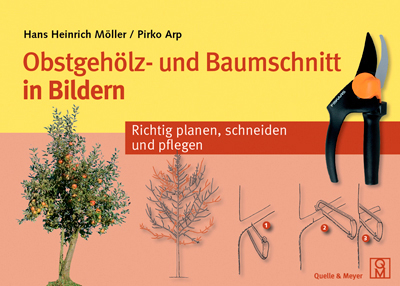 Richtig planen, schneiden und pflegen