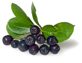Apfelbeeren
