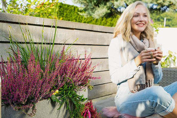 Garden­girls Heidepflanzen