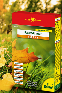 Rasendünger Herbst