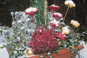 Bepflanzung in der Winterzeit