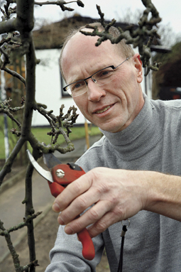 Obstgehölze zur richtigen Zeit schneiden