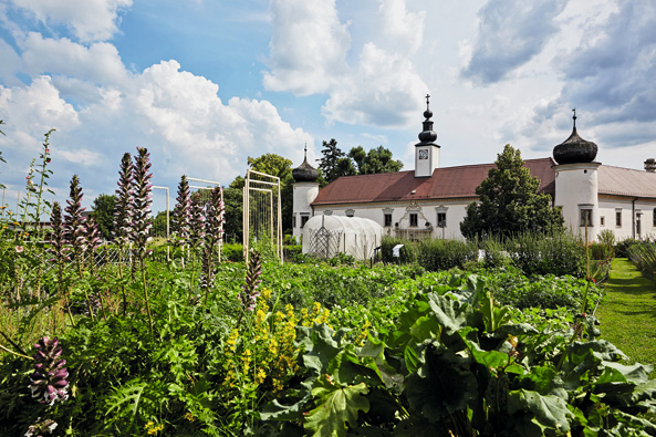 Arche Noah Schaugarten
