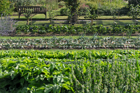 Royal London Botanic Gardens, Kew