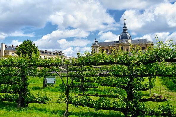 Schloss Versailles