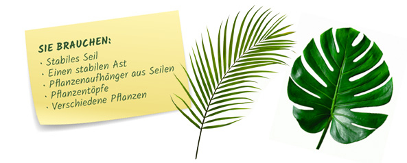Vorhang aus Pflanzen selbst gemacht