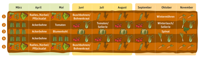 Anbauplanung Mischkultur