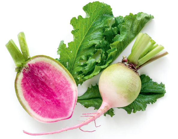 Wassermelonenrettich