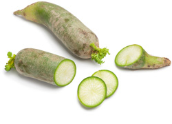 Grüner Rettich