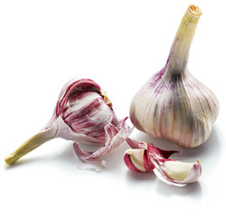 Knoblauch im Garten