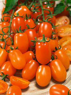 Mini-Pflaumen-Tomate Nugget