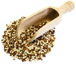 Quinoa